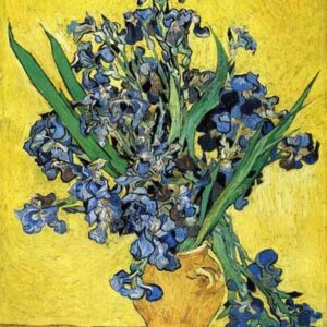 LOS LIRIOS-    Vincent Van Gogh