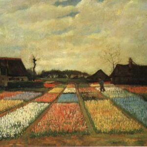 Campo de Bulbos -  Vincent Van Gogh