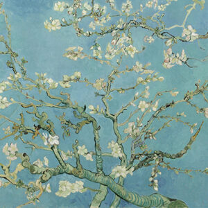 Ramas con Flores de Almendros -  Vincent Van Gogh