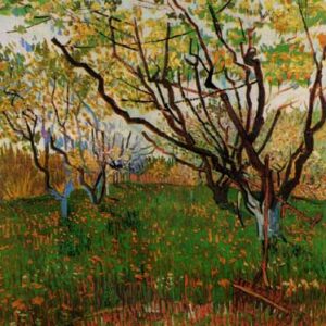 Huerto con Flor -  Vincent Van Gogh
