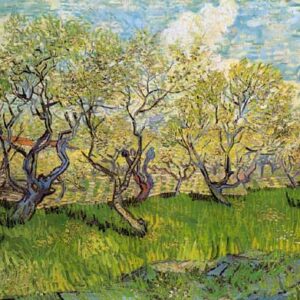 Huerto en Flor -  Vincent Van Gogh