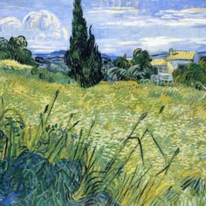 Campos de Trigo con Cipreses -  Vincent Van Gogh