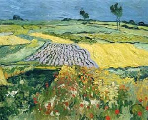 Campos de Trigo -  Vincent Van Gogh